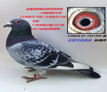 6̖(ho)--ױ̖(ho)XAϵ-1051500-