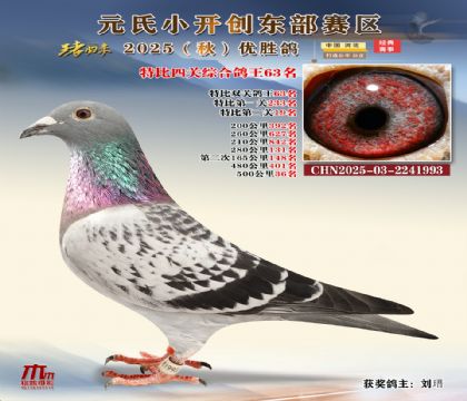 С_(chung)|^(q)رP(gun)C63