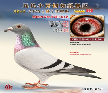 С_(chung)|^(q)رP(gun)C64