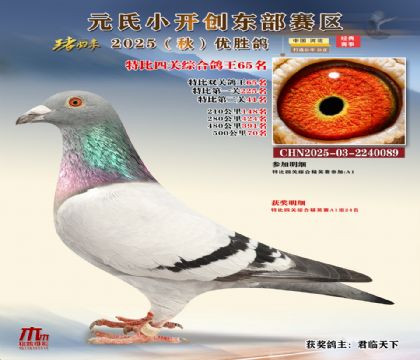 С_(chung)|^(q)رP(gun)C65