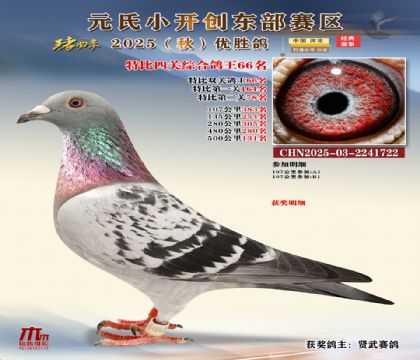 С_(chung)|^(q)رP(gun)C66