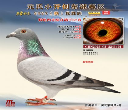 С_(chung)|^(q)رP(gun)C67