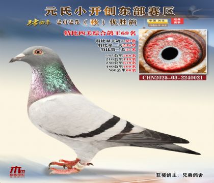 С_(chung)|^(q)رP(gun)C69