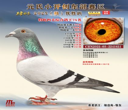 С_(chung)|^(q)رP(gun)C75