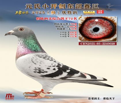 С_(chung)|^(q)رP(gun)C72