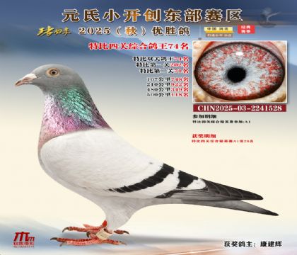 С_(chung)|^(q)رP(gun)C74