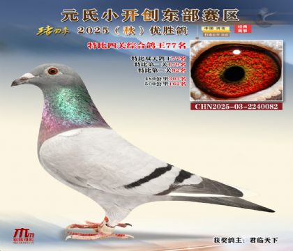 С_(chung)|^(q)رP(gun)C77