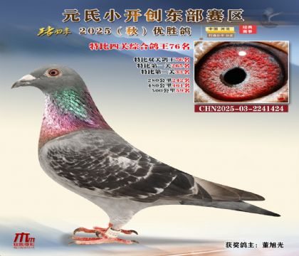 С_(chung)|^(q)رP(gun)C76