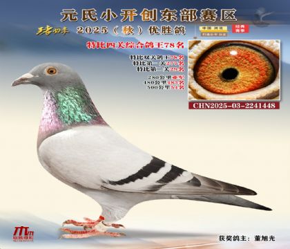 С_(chung)|^(q)رP(gun)C78