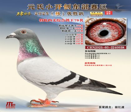 С_(chung)|^(q)رP(gun)C79