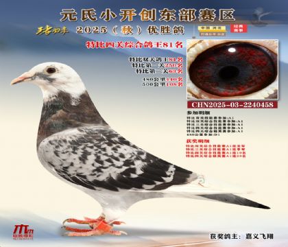 С_(chung)|^(q)رP(gun)C81