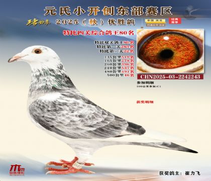 С_(chung)|^(q)رP(gun)C80