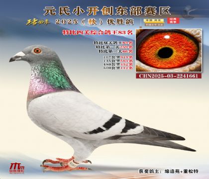 С_(chung)|^(q)رP(gun)C83