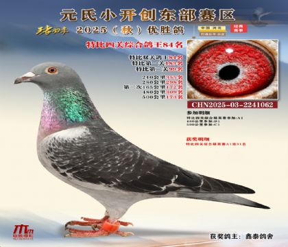 С_(chung)|^(q)رP(gun)C84