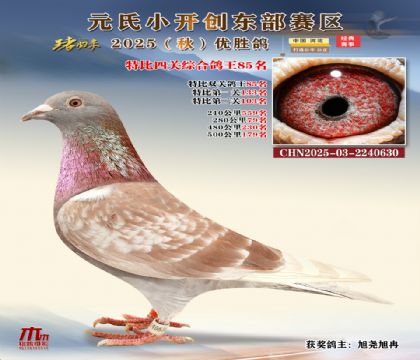 С_(chung)|^(q)رP(gun)C85