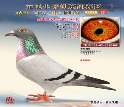 С_(chung)|^(q)رP(gun)C86