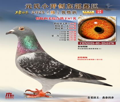 С_(chung)|^(q)رP(gun)C87