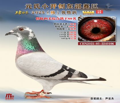 С_(chung)|^(q)رP(gun)C88