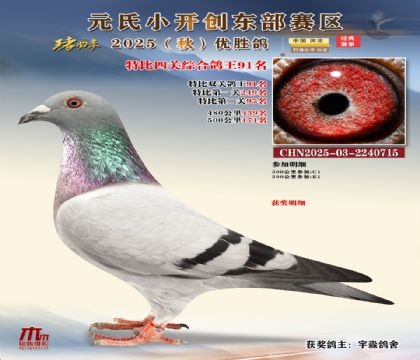 С_(chung)|^(q)رP(gun)C91