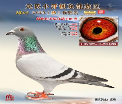 С_(chung)|^(q)رP(gun)C90