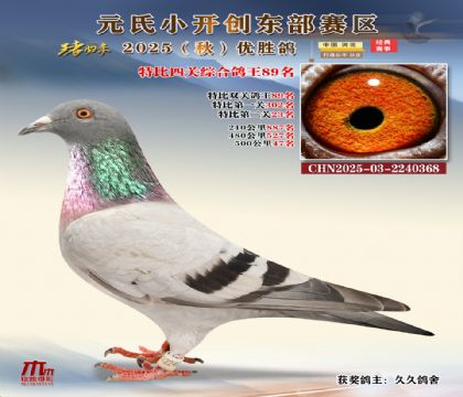 С_(chung)|^(q)رP(gun)C89