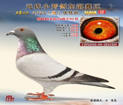 С_(chung)|^(q)رP(gun)C92