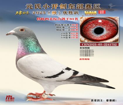 С_(chung)|^(q)رP(gun)C93