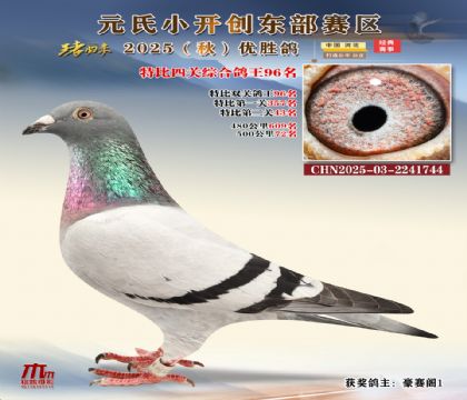 С_(chung)|^(q)رP(gun)C96