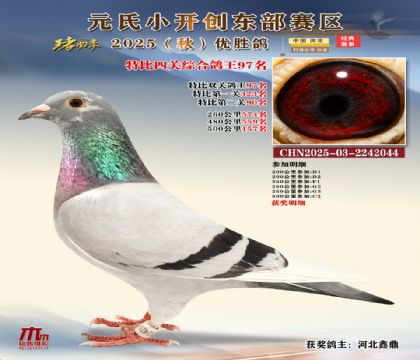 С_(chung)|^(q)رP(gun)C97