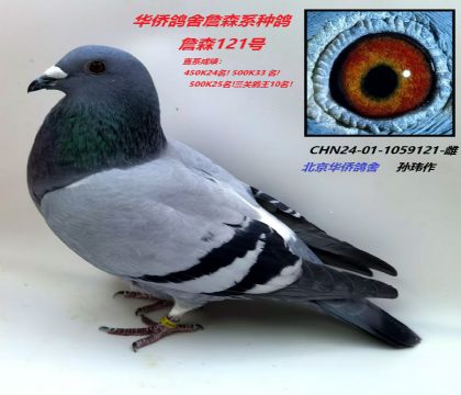 3̖(ho)--ղɭϵ24-01-1059121--S-