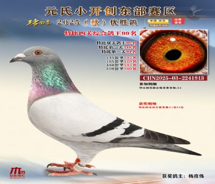 С_(chung)|^(q)رP(gun)C99