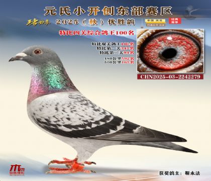 С_(chung)|^(q)رP(gun)C100