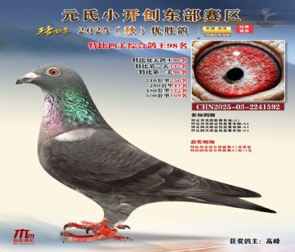 С_(chung)|^(q)رP(gun)C98