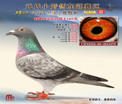 С_(chung)|^(q)رP(gun)C103