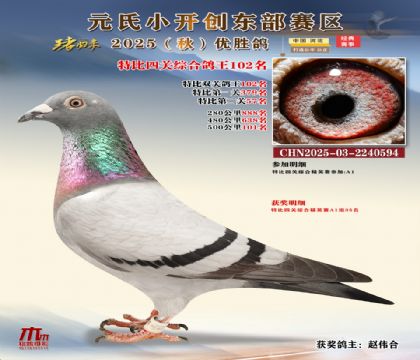 С_(chung)|^(q)رP(gun)C102