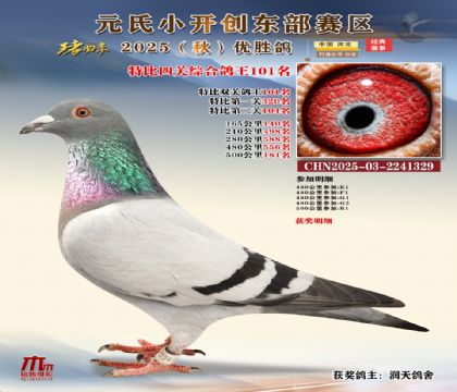 С_(chung)|^(q)رP(gun)C101