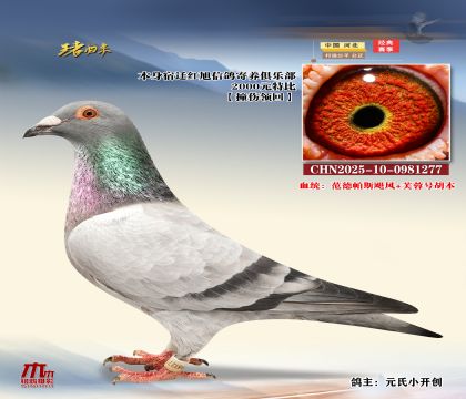 wtرCHN2025-10-0981277