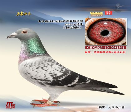 wtرCHN2025-10-0981364