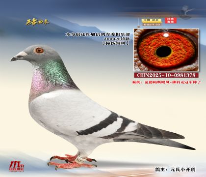 wtرCHN2025-10-0981378