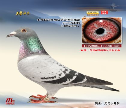 wtرCHN2025-10-0981423