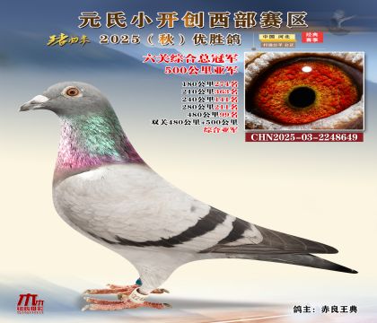 С_(chung)^(q)500܊P(gun)CϿ܊