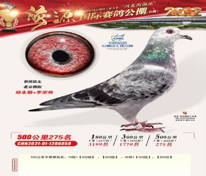 ҿںԴHِ500Qِ275