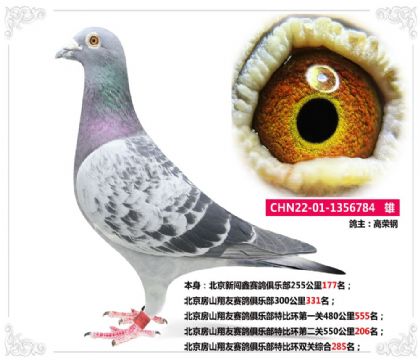 ɽِ㘷رȭh(hun)pP(gun)C285   	