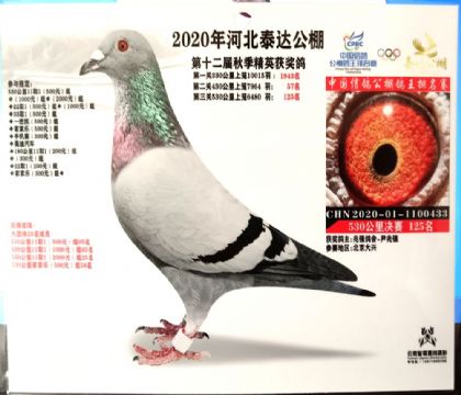 ׏(qing)--ӱ̩_(d)ِ530Qِ125  	