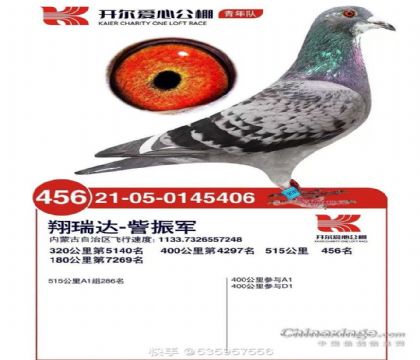 _HِĹꠣ515Qِ456   