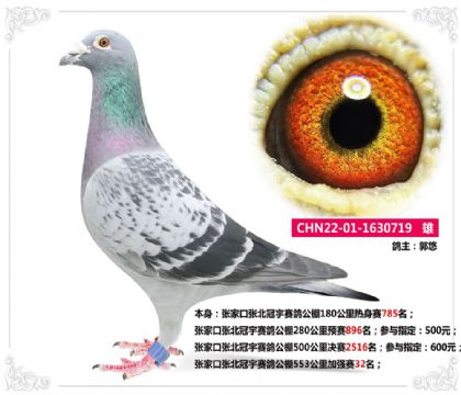 ҿڏِ553ӏ(qing)ِ32   	