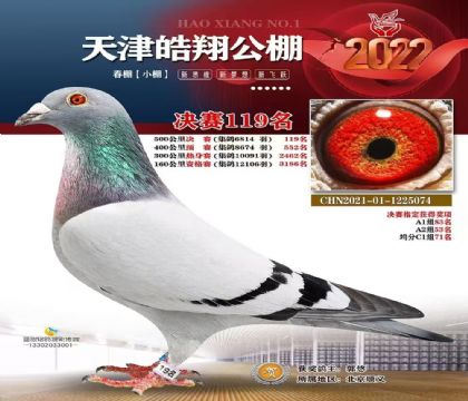 蹫С500Qِ119  