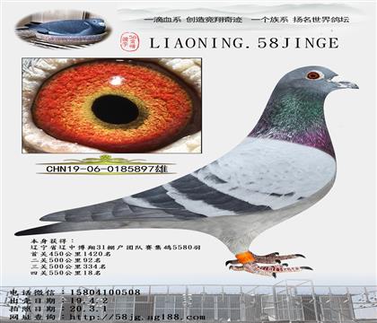 大鼻子飛戈”18名“