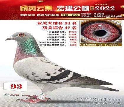 ӱ꽨ِpP(gun)վِpP(gun)C47   	