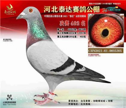 R-Բ-ӱ̩_(d)ِ530Qِ402